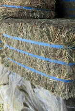 Eckenberg Farms AFS Compressed Timothy Hay by Ward Rugh