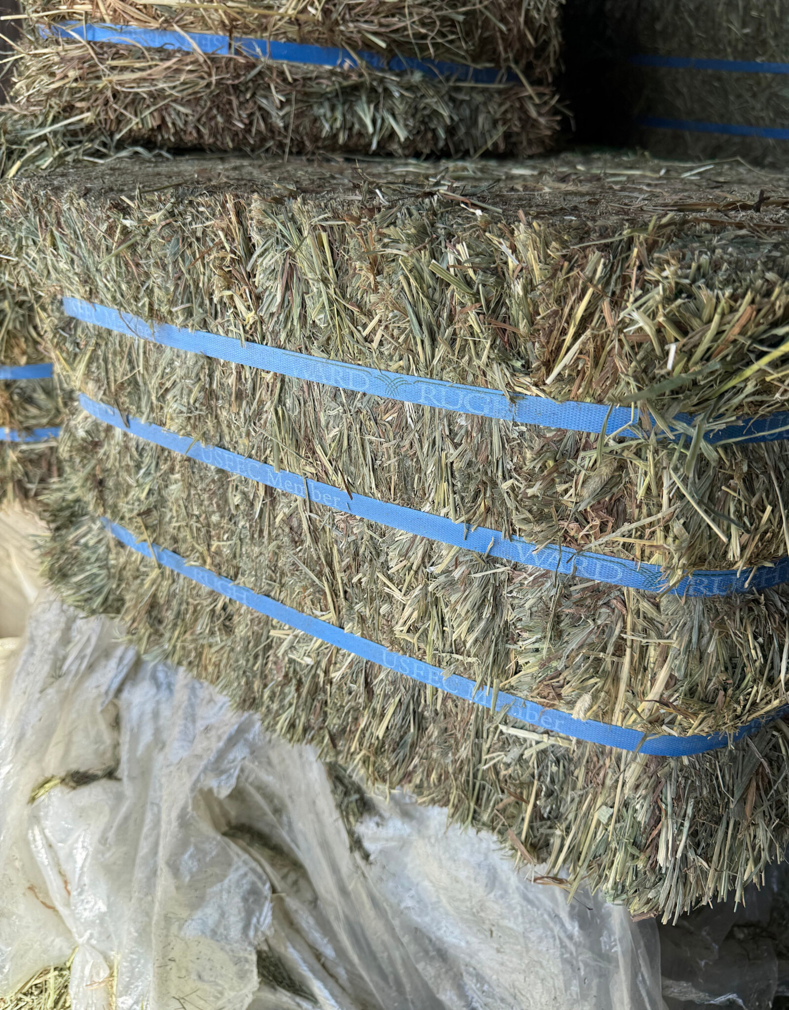 Eckenberg Farms AFS Compressed Timothy Hay by Ward Rugh