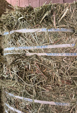 Eckenberg Farms AFS Compressed Alfalfa Hay by Ward Rugh Farms