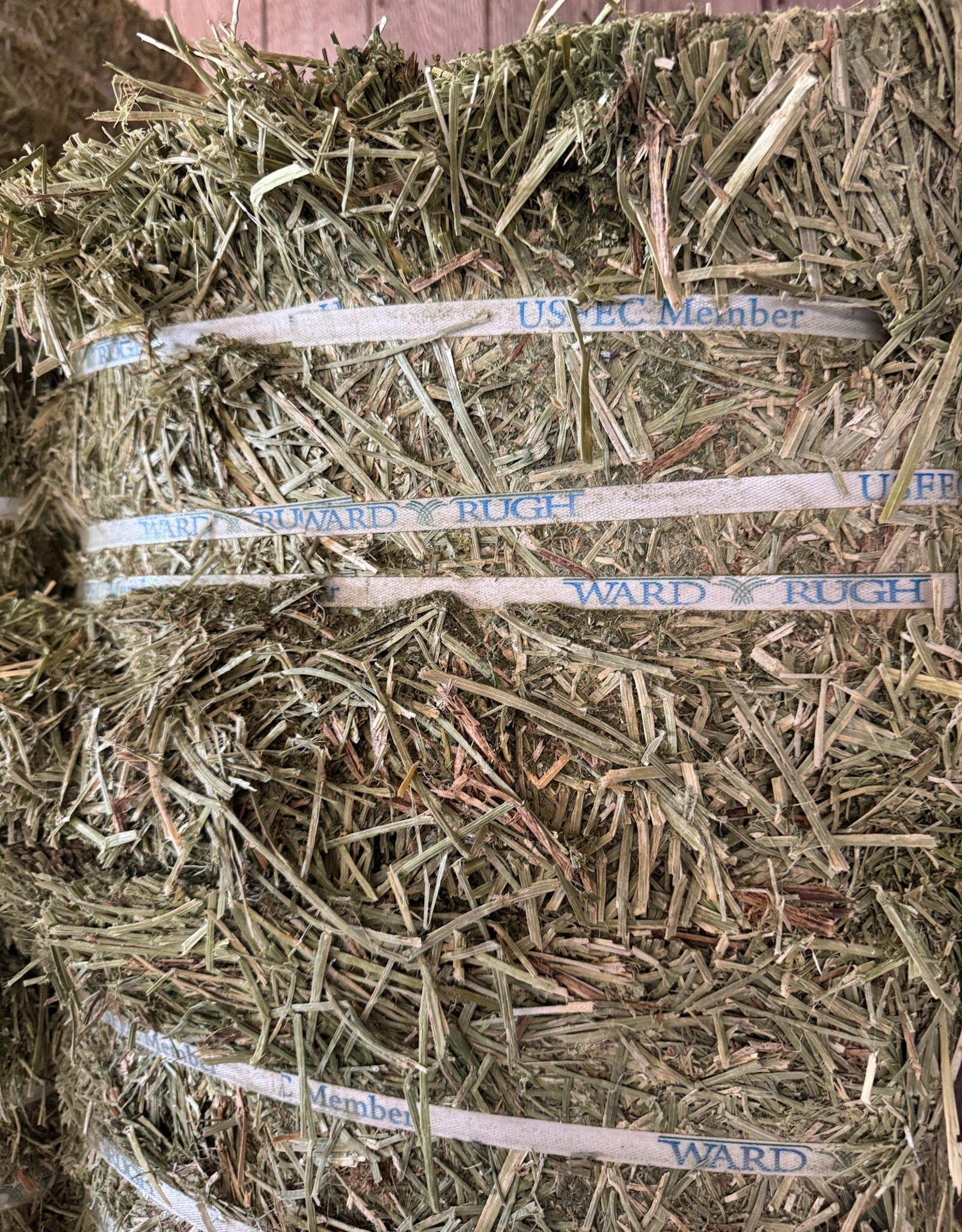 Eckenberg Farms AFS Compressed Alfalfa Hay by Ward Rugh Farms