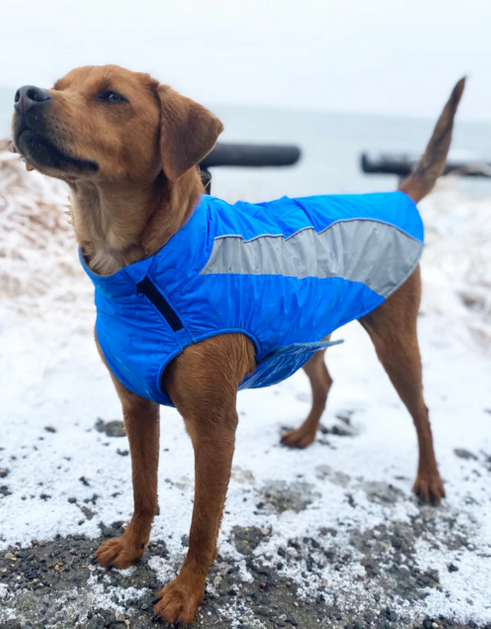 BayDog Coats:Saginaw Fleece 2.0 Blue -XXL