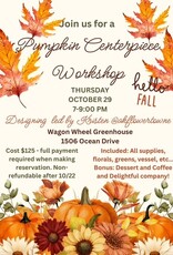 Pumpkin  Centerpiece Workshop Thursday, October 29, 2026