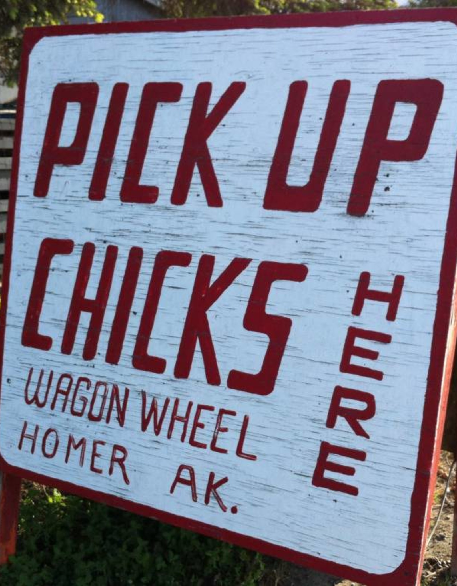 Chicks at the Wagon Wheel