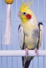 Penn-Plax COCKATIEL PACIFER