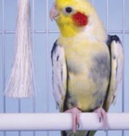 Penn-Plax COCKATIEL PACIFER