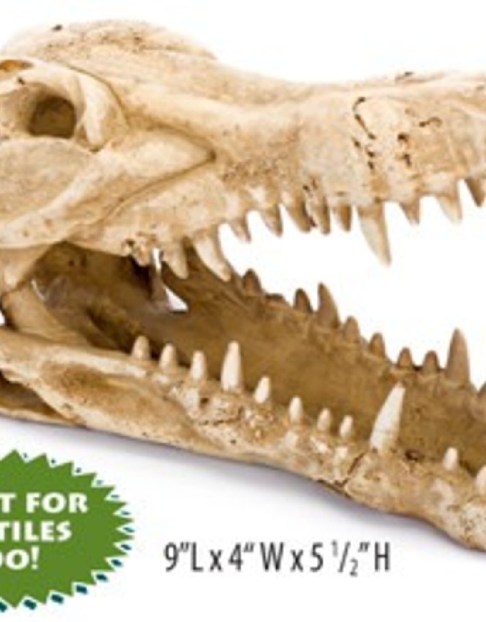 Penn-Plax 9X4X5.5 IN. CROCODILE SKULL