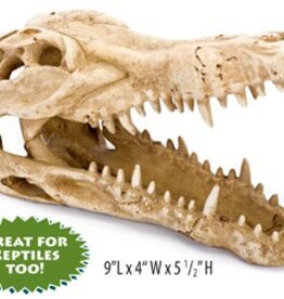 PENN-PLAX INC 9X4X5.5 IN. CROCODILE SKULL