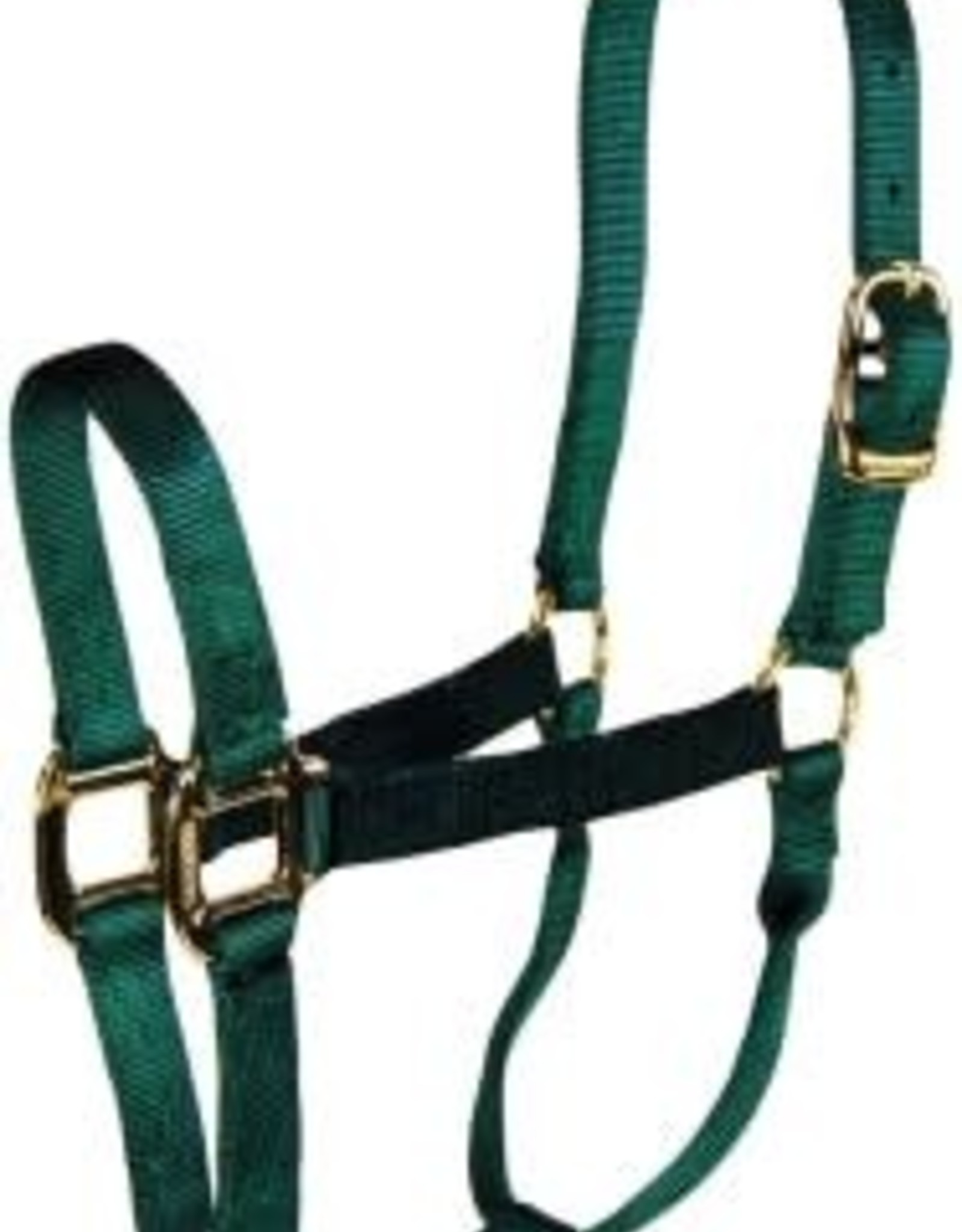 Hamilton Pet HALTER HORSE ADJ 8-11 AVG DARK GREEN 1DA AVDG HAM