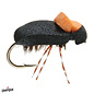 Foam Beetle-Size 14