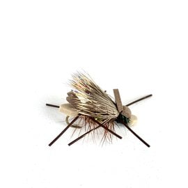 Army Ant-Size 8