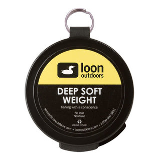 Deep Soft Weight