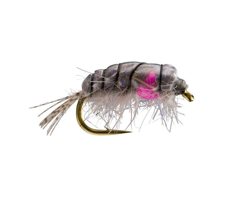 Midweight Scud Size #14 - Tight Lines Fly Fishing Co.
