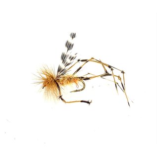 Coulee Crane Fly   Sz. 16