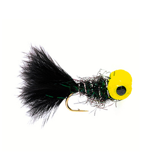 Big Eye Panfish Bug