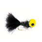 Big Eye Panfish Bug