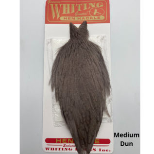 Whiting Hen Cape