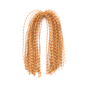 Centipede Legs