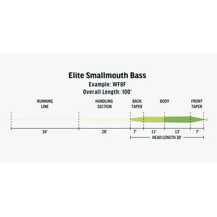Rio Elite Smallmouth Bass
