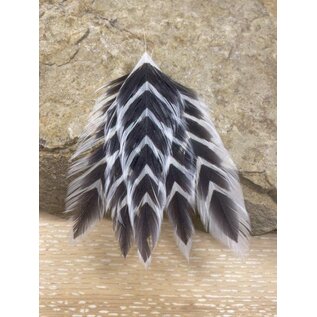 Galloup's Fish Feathers