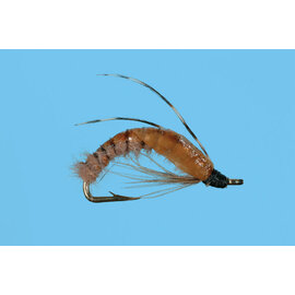 Crawling Caddis Pupa