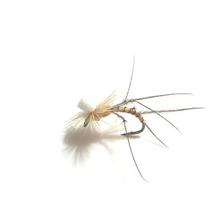 Gadd Crane Fly Size 16