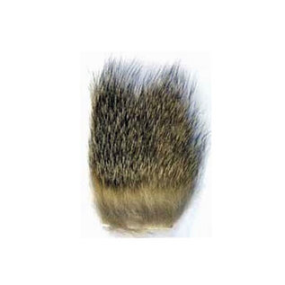GRAY FOX