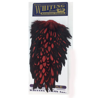Whiting American Hen Saddle