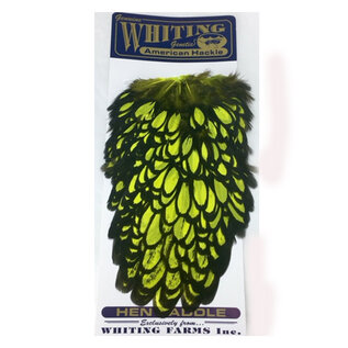 Whiting American Hen Saddle