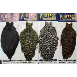 Whiting Hen Cape