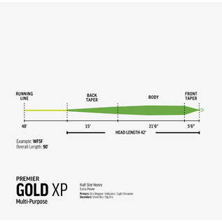 Gold XP Premier