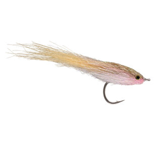 King Bay Anchovy Tan #2