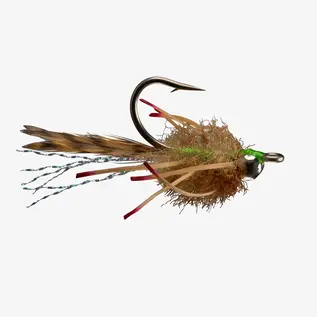 Permit Crab