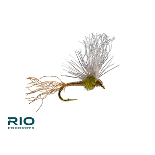 Sparkle Flag BWO #18