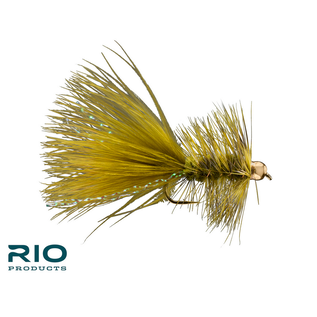 BH Wooly Bugger