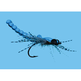 Dragon Fly Size 6