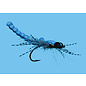 Dragon Fly Size 6