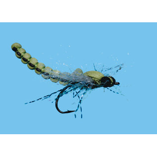 Dragon Fly Size 6