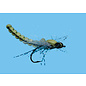 Dragon Fly Size 6