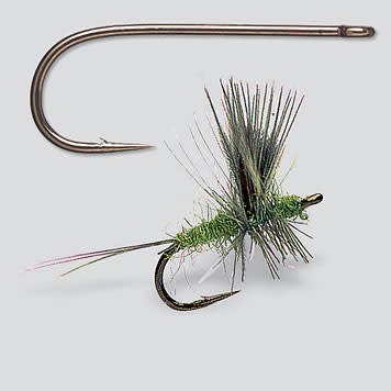 Orvis Big Eye Dry Fly Hooks - Tight Lines Fly Fishing Co.