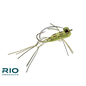 Foam Slice Frog Olive 2/0