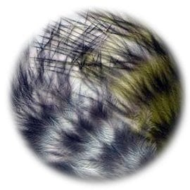 Grizzly Marabou