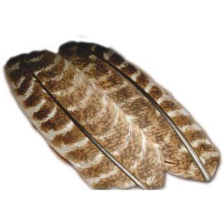 TURKEY WING QUILL MOTTLED.OAK #1