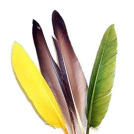 Duck Quill - 2 Pair