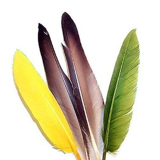 Duck Quill - 2 Pair