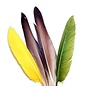 Duck Quill - 2 Pair