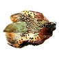 Ringneck Pheasant Skin