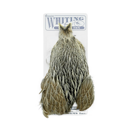 Whiting Brahma Hen Cape
