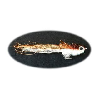 Murdich Minnow