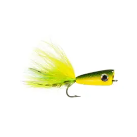 Rainys In Shore Popper