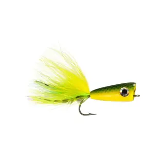 Rainys In Shore Popper
